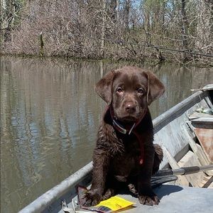 Meet your Posher, Kevin